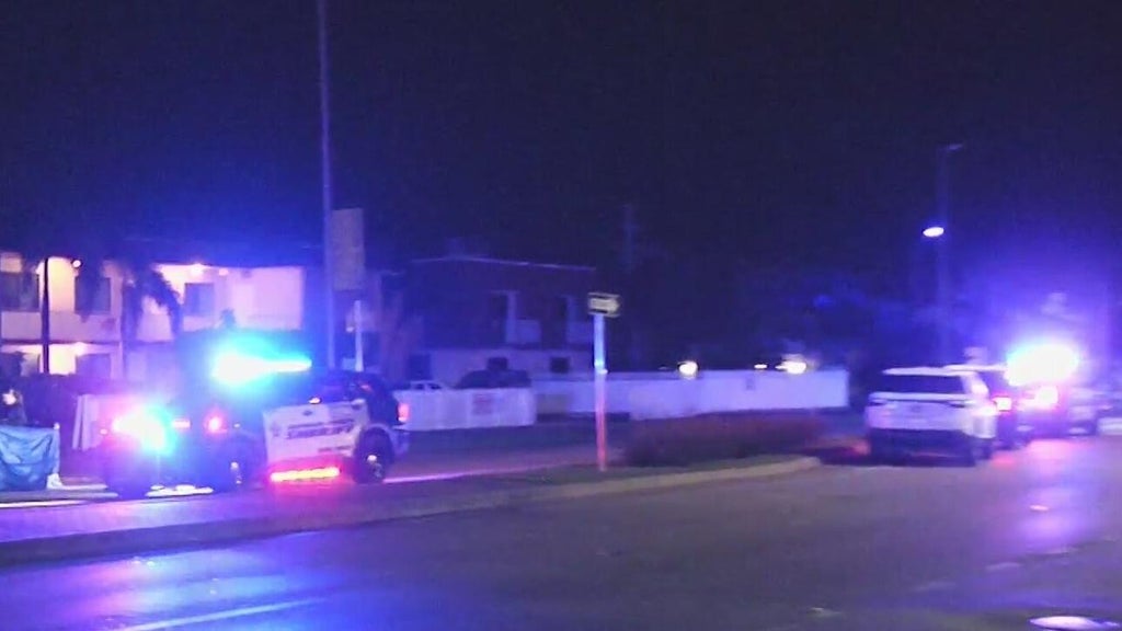 Woman accused of killing man in Dania Beach hit-and-run, BSO says — CBS Miami, Marco Island Community news