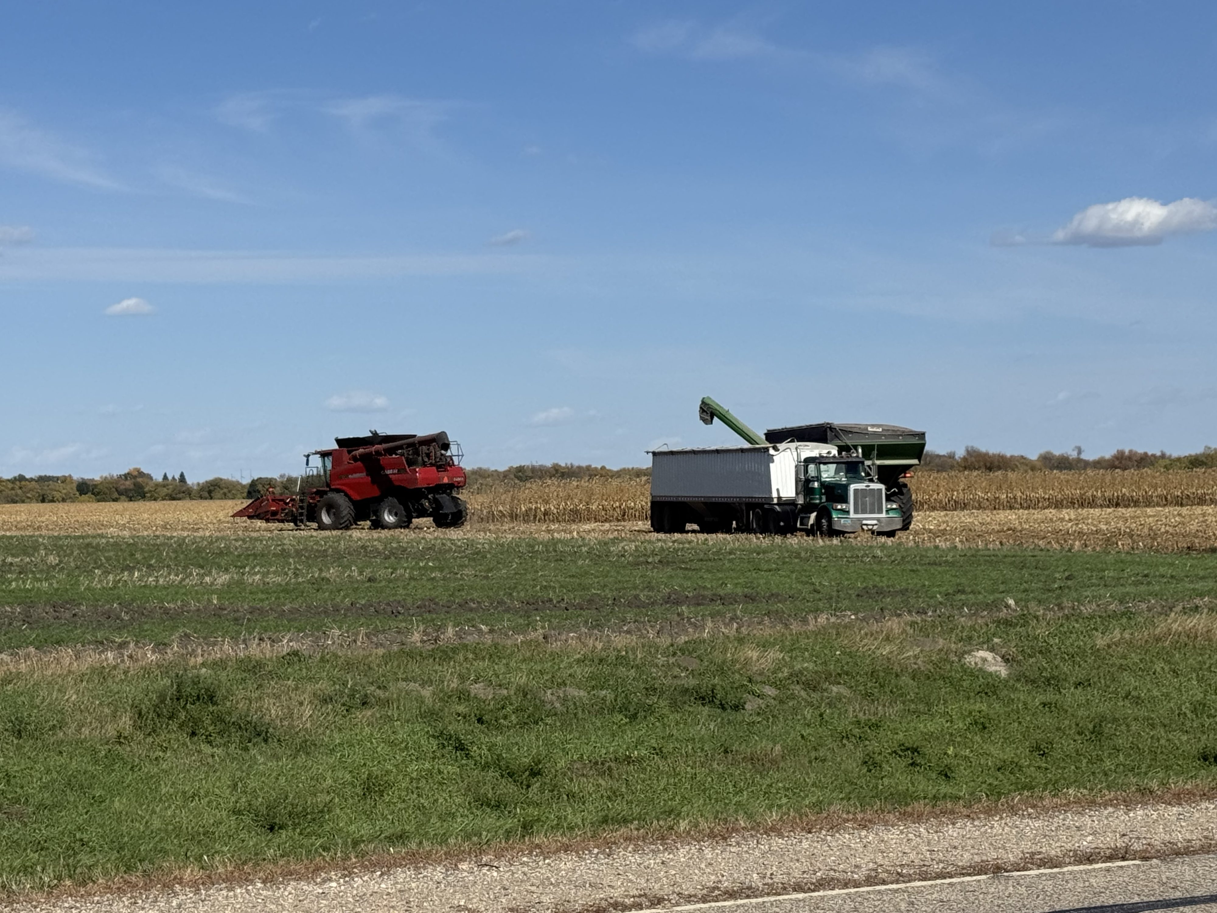 USDA announces record 2025 crop year safety net program payments — KFGO, Marco Island Community news