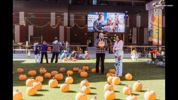 Spooky season with North Loop Green — KARE 11 Local, Marco Island Sports news