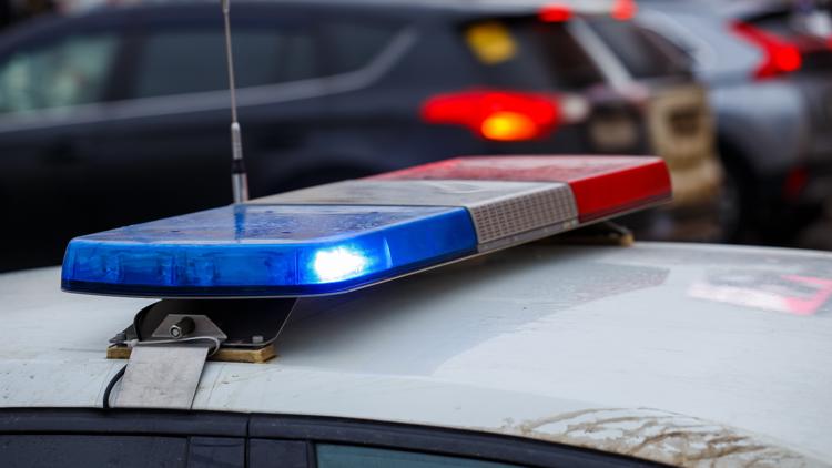 Dayton ISD bus driver arrested after student seriously injured in suspected hit-and-run, police say — KHOU 11 (Houston), Marco Island Schools news
