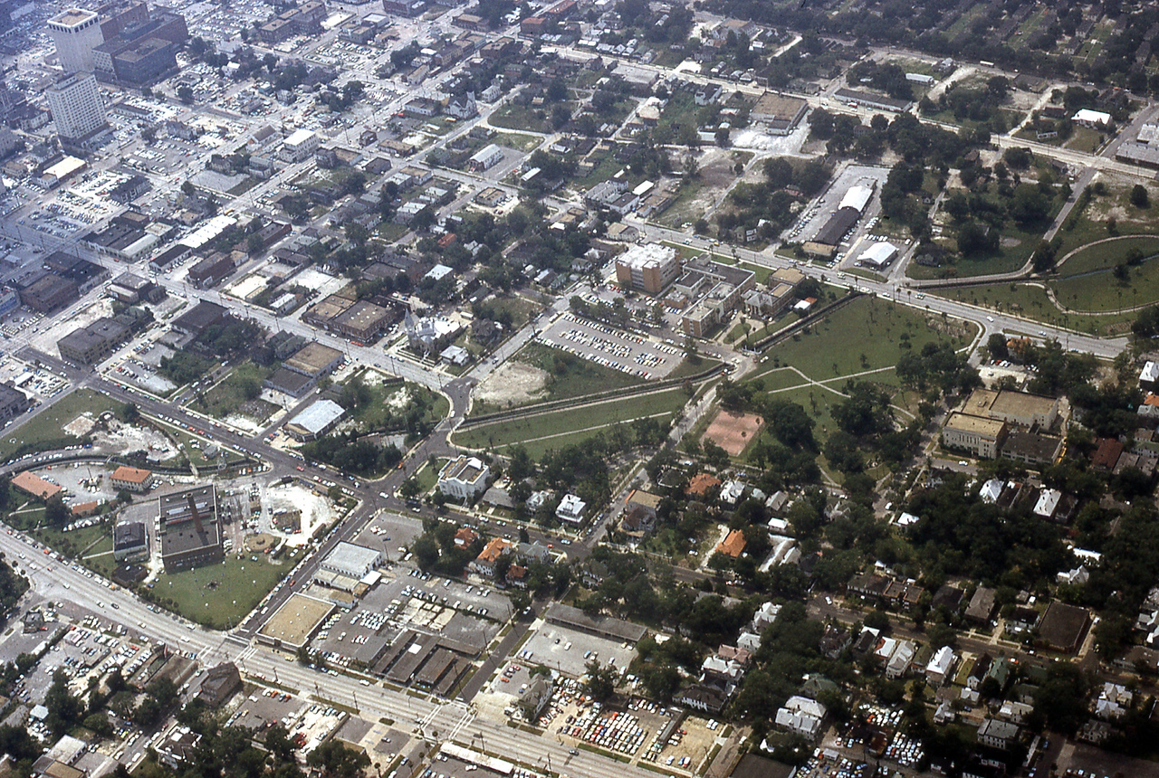 THE JAXSON | The oak tree that remembers Black Bottom — Jacksonville Today, Marco Island Schools news