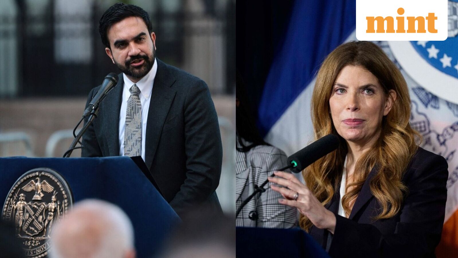 New York City's historic horse carriage rides to come to an end soon? All about Mayor Zohran Mamdani's latest move — Mint India, Marco Island Government news